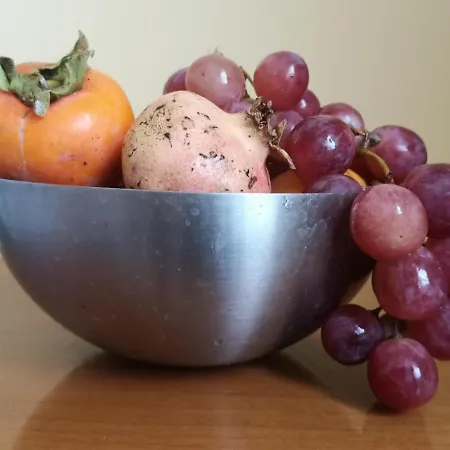 Bed & Breakfast Next Frosinone