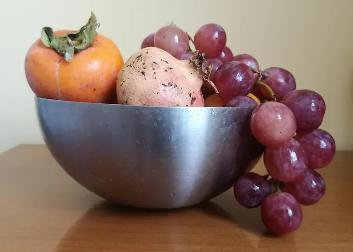 Bed and breakfast Next Frosinone